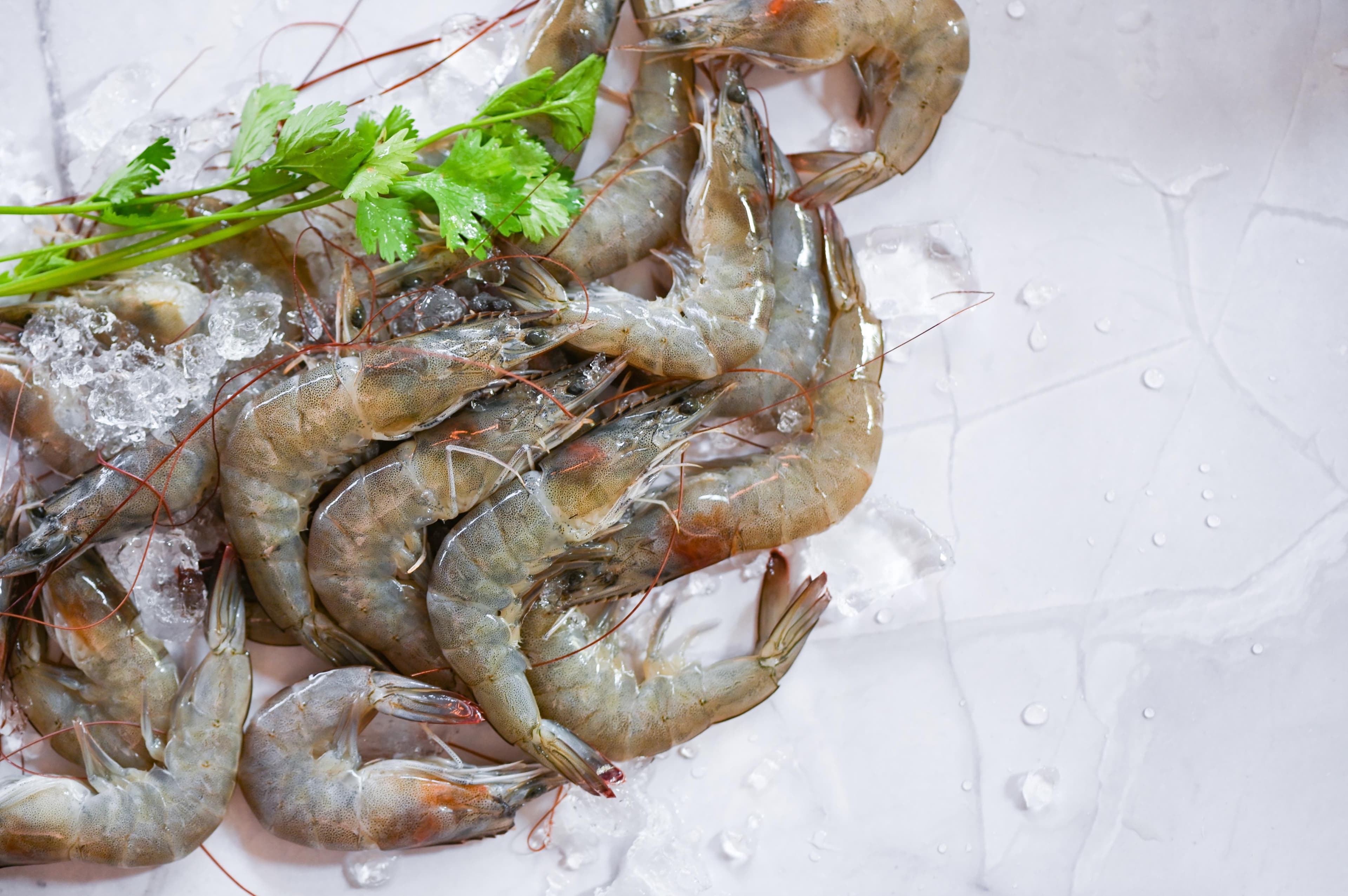 White Prawns
